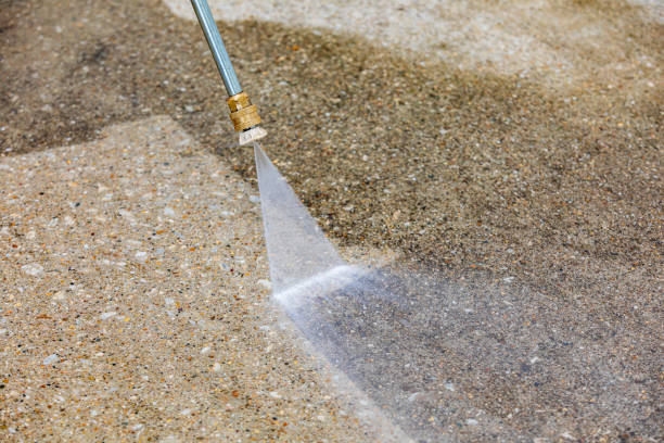 Best Animal Enclosure Cleaning  in Lone Grove, OK
