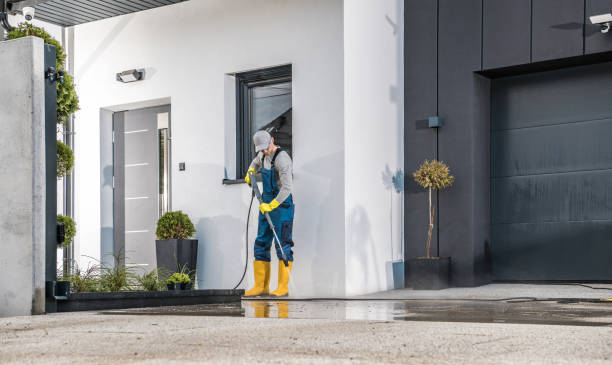Best Gutter Cleaning  in Lone Grove, OK